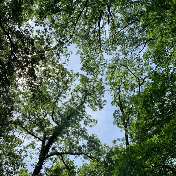 Meet your Posher, Marie - Picture 1 of 1